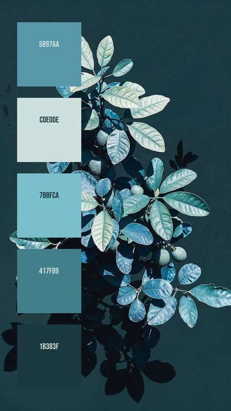 Colors:
5897AA ° CDE0DE ° 7BBFCA ° 417F89 ° 1B383F Indigo Palette Colour Schemes, Metallic Blue Color Palette, Dark Palette Aesthetic, Green Blue Purple Color Palette, Iridescent Color Palette, Blue Teal Color Palette, Blue Pallets, Christmas Color Palette, Hex Color Palette