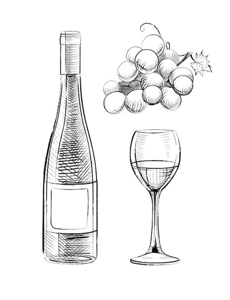 Hand drawn set of wine bottle glass and ... | Free Vector #Freepik #freevector #wine-drawing #wine-illustration #wine-sketch #wine Wine Bottle And Glass Drawing, Wine Bottle Illustration Drawings, Wine Bottle Line Drawing, Winery Drawing, Wine Drawing Sketches, Bottle Of Wine Drawing, Wine Bottle Sketch, Glass Of Wine Drawing, Wine Glass Sketch