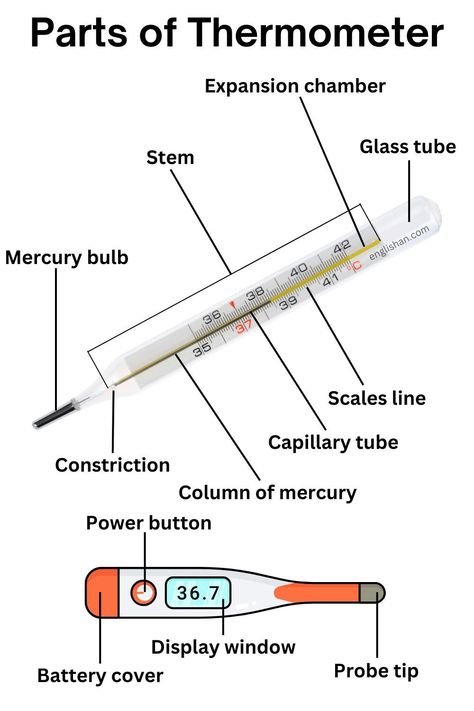 Parts of Thermometer Names Emt Study, Medical Terminology Study, Picture Vocabulary, Skin Anatomy, Discrete Mathematics, Chemistry Basics, Medical Words, Chemistry Education, Medical School Life