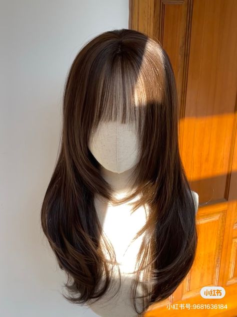 Shoujo Haircut, Hair Claims For Dr, Korean Haircut Long, Korean Wigs, Hair Claim, Hair Claims, Good Haircuts, 1b Hair, Pretty Hair Cuts