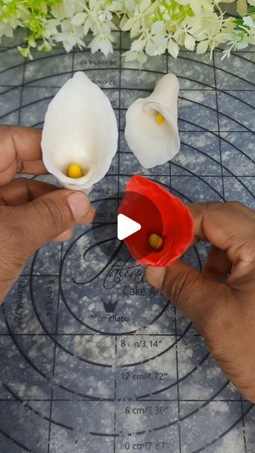 Fondant Lily Tutorial, Anthuriums Flowers, Gumpaste Flowers Tutorial, Fondant Rose Tutorial, Fondant Flower Tutorial, Fondant Flower Cake, How To Make Red, Arum Lily, Fondant Rose