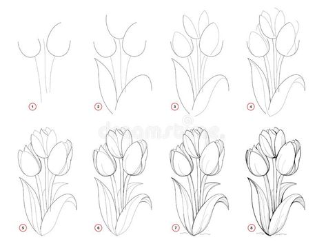 Hur Man Ritar Blommor, Bilik Perempuan, Tulip Drawing, Botanisk Illustration, Easy Flower Drawings, Flower Step By Step, How To Draw Steps, Flower Drawing Tutorials, 강아지 그림