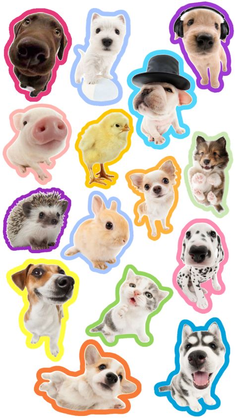 Pop Stickers, Free Download, Dogs, Animals, White