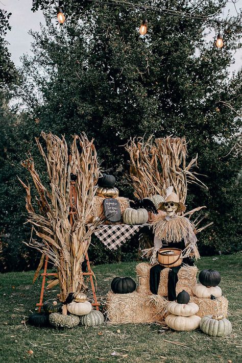 Spooky Farm Halloween, Pumpkin Decor Halloween, Halloween Decorations Hay Bales, Halloween Luxury Picnic, Ranch Halloween Decor, Halloween Theme Decor, Halloween Pumpkin Party Ideas, Farm Halloween Party, Halloween Hoedown Party