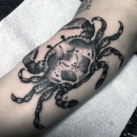 80 Crab Tattoo Designs For Men - Masculine Ink Ideas Crab Tattoo Ideas, Tattoo Sea, Crab Tattoo, Compass Tattoo Design, Octopus Tattoo, Tatuaje A Color, Tattoo Designs For Men, Ink Ideas, Skin Art