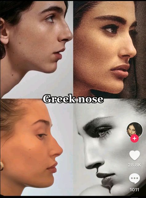 Nose Types Shape Names, Pretty Nose Aesthetic, Different Kinds Of Pretty, Greek Nose Aesthetic, Straight Nose With Bump, Unsymmetrical Face Models, Types Of Nose Shape, Crooked Nose Aesthetic, Greek Nose Women