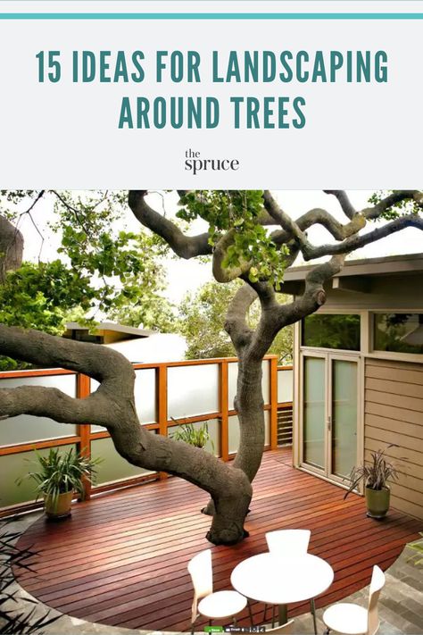 If you have an older tree or two in your yard that you want to keep for the beauty or shade it provides, you can definitely landscape around it. From building a deck to adding a few shade tolerant plants, here are plenty of ideas for landscaping around trees in your yard. Tree In Deck Ideas, Tree In Decking, Whimsical Shade Garden, Deck Built Around Tree, Deck Around Tree Ideas, Landscape Ideas Around Trees, Deck Around Tree, Deck Around Trees, Tree Deck