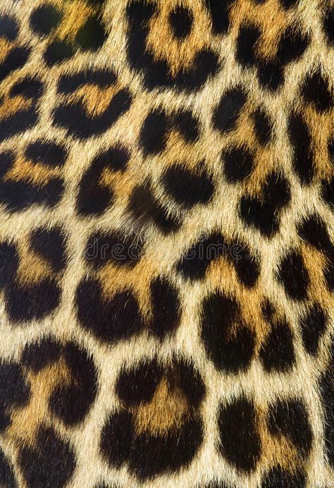 Fur Background, Yellow Texture, Cheetah Print Wallpaper, Graphic Design Assets, Fur Texture, Animal Print Wallpaper, Animal Fur, Clay Wall, Printed Backgrounds