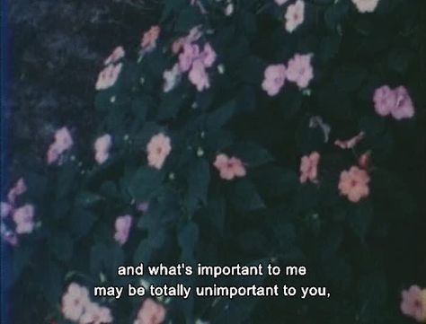 Film Quotes, Tumblr Quotes, Some Words, Quote Aesthetic, Pretty Words, Movie Quotes, Pretty Quotes, I Saw, Words Quotes