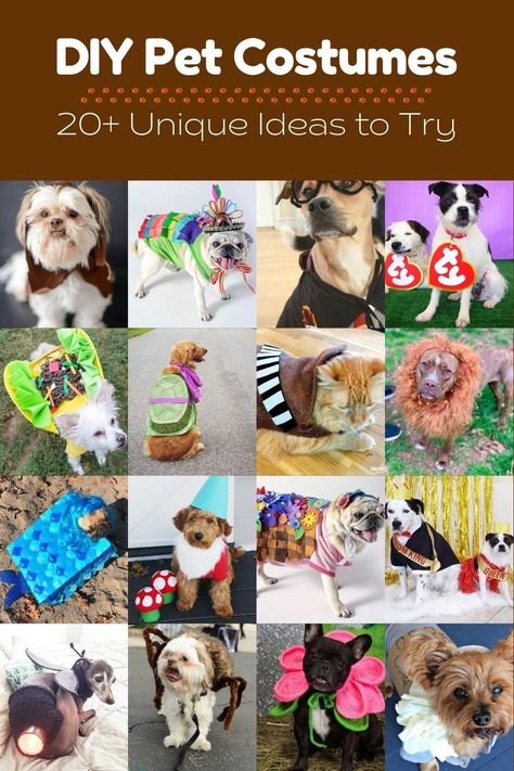 Diy Costume For Cats Pets, Last Minute Dog Costume Diy, Simple Dog Costumes Diy, Home Made Dog Costumes, Free Dog Costume Patterns, Dog Costume Sewing Pattern, Easy Diy Pet Costumes, Easy Homemade Dog Costumes, Creative Dog Costumes Diy