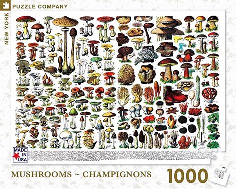 Fruits Plants, Illustration Botanique Vintage, Latin Names, Mushroom Poster, Mushroom Crafts, Botanical Illustration Vintage, Illustration Botanique, French History, Botanical Art Prints