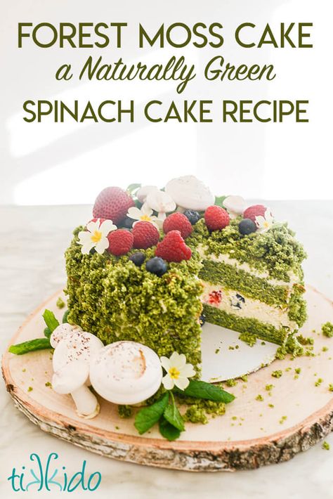 Forest Moss Cake Recipe Spinach Cake Recipe, Cake Moss, Moss Cake, Spinach Cake, Mushroom Cake, Matcha Cake, Forest Moss, Green Cake, Egg Cake