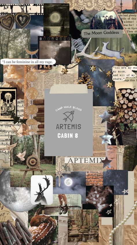 Hunters of Artemis 🫶🫶 #artemis #cabin8 #huntersofartemis #riordanverse #percyjacksonandtheolympians #greekmythology Hunters Of Artemis, Artemis Aesthetic, Cabin Wallpaper, Percy Jackson Cabins, Camp Half Blood Cabins, Hunter Of Artemis, Artemis Goddess, Apollo And Artemis, Percy Jackson Wallpaper