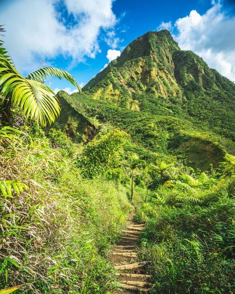 The Caribbean island of Dominica: 11 facts that will surprise you Carrabian Island, Dominica Island Caribbean, Dominica Carribean, Carabian Island, Dominica Travel, Carribean Culture, Dominica Caribbean, Dominica Island, Caribbean Aesthetic