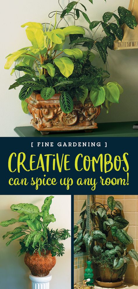 Herb Garden Container, Herb Combinations, Indoor Oasis, Garden Container, Herb Gardens, House Plant Pots, Container Gardening Flowers, Fine Gardening, Herbs Indoors