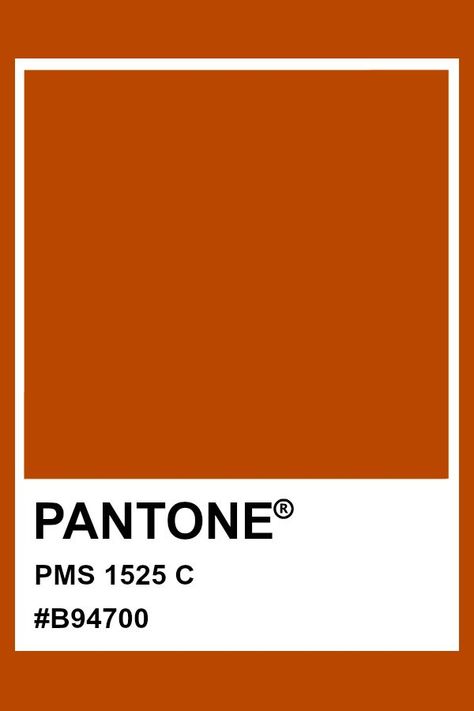 Orange Pantone, Pantone Orange, Pantone Red, Aesthetic Country, Pantone Matching System, Pantone Swatches, Pantone Palette, Pantone Colour Palettes, Orange Color Palettes