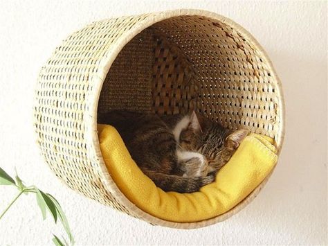 #IKEA #hack für das Katzi! Katt Hus, Katt Diy, Ikea Basket, Diy Chat, Katt Grejer, Diy Cat Bed, Kat Diy, Chat Diy, Diy Projektit