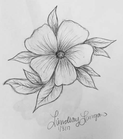 Shading Flowers Drawing, Beautiful Drawings Easy Pencil, Sketsa Flora Simple, Drawing Ideas Flowers Pencil, Flower Sketches Simple Pencil, Flower Shading Drawing, Flower Art Sketches, Petunia Drawing, Big Flower Drawing