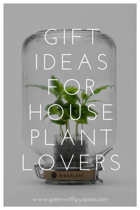 Gift ideas for houseplant lovers for this season Christmas Gifts For Plant Lovers, Plant Lovers Gifts, Plant Lover Gift Ideas, Plant Gifts Ideas, Plant Gift Ideas Diy, Houseplant Diy, Plants Gift Ideas, Gift Ideas For Plant Lovers, Botanical Gifts