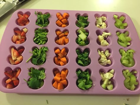 Homemade rabbit treat! Frozen fruits and veggies! Just cut up favorite treats into silicone mold then fill with goodies and water then freeze overnight. Great thing to keep bunnies cool during the summer! Homemade Rabbit Treats, Diy Bunny Toys, Rabbit Enclosure, Pet Rabbit Care, Rabbit Treats, Bunny Hutch, Pet Bunny Rabbits, Rabbit Life, Indoor Rabbit