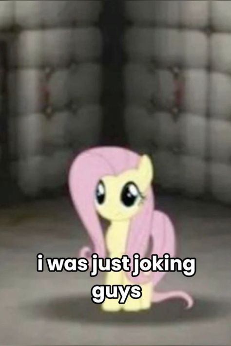 Mlp Reaction Pics, Pony Videos, Don Pollo, Desenho Tom E Jerry, Foto Kelakar, Mlp Funny, Attitude Problem, Pony Pictures, Funny Pix