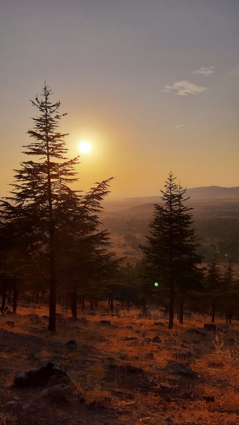 Brown Wallpaper Landscape, Tonicore Aesthetic, Easthetic Wallpers Brown Landscape, Brown Aesthetic Landscape, Brown In Nature, Brown Landscape, Iris Eye, Sky Brown, Brown Nature