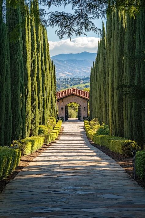 "🍷🌄 Sip and savor in Sonoma, California’s premier wine country! Enjoy exquisite wine tastings, picturesque vineyards, and charming wineries. 🍇🍷 #SonomaWineCountry #WineTasting #VineyardViews" Winery Aesthetics, Sonoma California Wineries, Italian Winery, Vineyard Aesthetic, America Photo, California Winery, Sonoma Wine Country, Wine Vineyards, Sonoma California