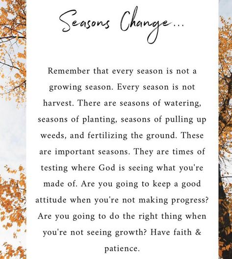 Seasons Change ...  Have faith & patience. Changing Seasons Of Life Quotes, Season In Life Quotes, Quote About Seasons Of Life, Just A Season Quote Life, Seasons In Life Quotes Faith, Fall Back Time Change Quotes, Season Of Change Quotes Life, Entering A New Season Quotes, Seasons Of Life Quotes Word Of Wisdom