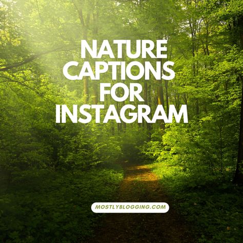 Best Nature Captions For Instagram, Nature Selfie Captions Instagram, Instagram Caption For Nature View, Nature Picture Captions, Caption For Instagram Nature Post, Nature Post Captions, Captions For Instagram Nature Pics, Nature Therapy Captions, Lost Captions For Instagram