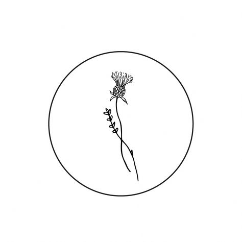 Thistle and flower logo icon designed by Amari Creative Thistle And Heather Tattoo, Fine Line Thistle Tattoo, Thistle Tattoo Black, Outlander Tattoos, Thistle Flower Tattoo, Wild Thistle, Scotland Tattoo, Scottish Thistle Tattoo, Pomegranate Tattoo