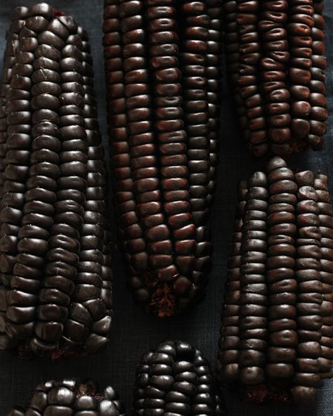 Black Corn, Purple Corn, Food Texture, Black Food, Dark Autumn, Texture Photography, Fade To Black, World Of Color, Shades Of Black