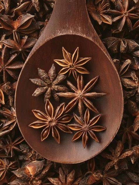 16 Must-Have Kitchen Spices | Food Network Canada Star Anise Aesthetic, Spices Product Photography, Herbs And Spices Photography, Aromatic Aesthetic, Spice Product Photography, Dried Herbs Aesthetic, Communal Cafe, Spices Aesthetic, Bea Lubas