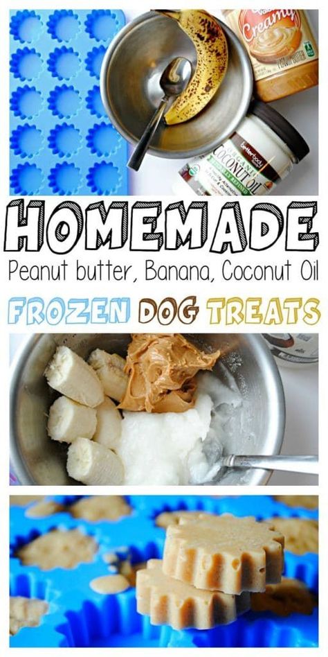 Mask Recipes, Frozen Dog Treats, Coconut Oil For Dogs, Easy Dog Treats, Healthy Dog Treats Homemade, Coconut Peanut Butter, Dog Treats Homemade Recipes, Frozen Dog, Diy Dog Treats