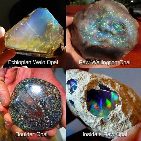 Oh My....Four very unusual and very different Drool worthy Opals to stare at! 😍   Which one is calling to you?    Photo: Geology Geologia's Jelly Opal, Yellow Opal, Types Of Opals, Pretty Rocks, Cool Rocks, Beautiful Rocks, Green Opal, Minerals And Gemstones, Rocks And Gems