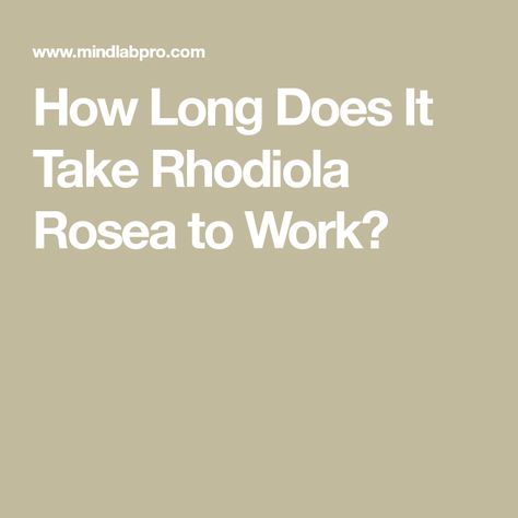 How Long Does It Take Rhodiola Rosea to Work? Benefits Of Rhodiola, How To Take Rhodiola, Rhodiola Benefits For Women, Rhodiola Rosea Benefits, Rhodiola Benefits, Medicinal Herbs Remedies, Herbs Remedies, Reducing Cortisol Levels, Rhodiola Rosea