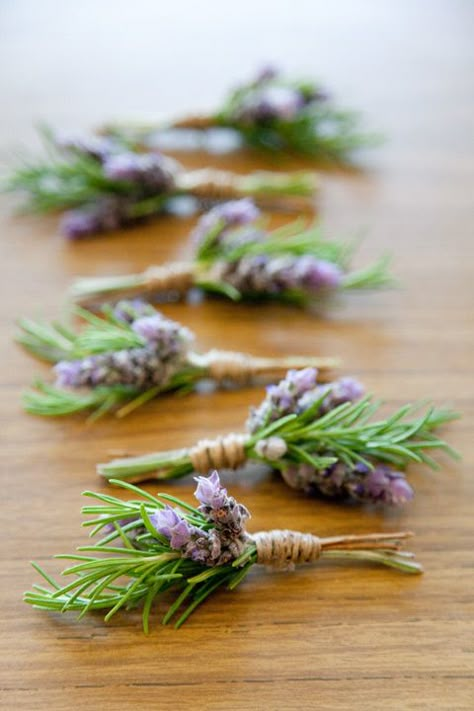 boutonnieres - lavender and rosemary except I would want like a billy button maybe instead of lavender Lavender Boutonniere, Lavender And Rosemary, Boutonniere Wedding, Lavender Wedding, Deco Floral, Lavender Flowers, Groom And Groomsmen, Purple Wedding, Wedding Plans