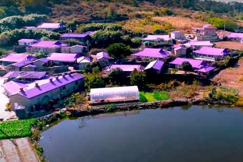 This All-purple Island Is the Most Mesmerizing Thing You’ll See All Day Purple Island, Travel Korea, Best Vacation Spots, South Korea Travel, Island Destinations, Blue City, Korea Travel, Natural Scenery, Best Places To Travel