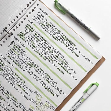 Outline Notes Ideas, Notes Format Aesthetic, Study Notes Organization, Aesthetic Notes With Highlighters, Clean Notes Ideas, Pretty Study Notes Layout, Aesthetic Definition Notes, Aesthetic Notes Highlighter, Kokuyo Campus Notebooks Aesthetic Notes