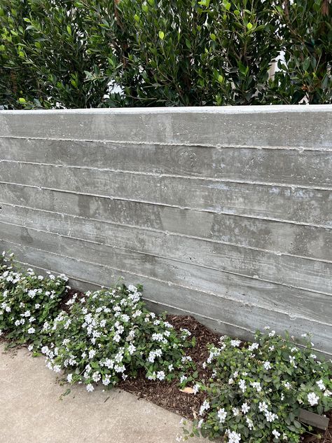 Polished Concrete Garden, Cement Fence Ideas Concrete Walls, Mountain Dream Homes, Fence Plants, Concrete Retaining Walls, Cement Walls, Driveway Landscaping, Front Yard Design, Japandi Interior