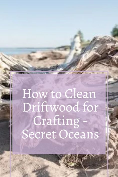 "Embark on a crafting journey with pristine driftwood! Learn the art of cleaning driftwood for your DIY projects, from removing debris to tackling stubborn grime. Dive into our step-by-step guide, ensuring your driftwood is a blank canvas ready for creative expression. Elevate your crafts with the natural charm of immaculately cleaned driftwood. Let's bring the beach to your creations! 🐚🎨 #DriftwoodCrafting #DIYProjects #NatureCrafts" Bleaching Driftwood Diy, How To Clean Driftwood Without Bleach, Cleaning Driftwood How To, Cleaning Driftwood Without Bleach, Wood Burned Driftwood, How To Make Driftwood Diy, Driftwood Frame Diy, How To Clean Driftwood Diy, Painting On Driftwood Ideas