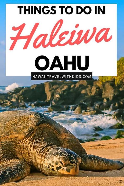 33 Things to do in Haleiwa, Oahu | Hawaii Travel with Kids Hawaii Ideas, Haleiwa Hawaii, Hawaii Activities, Hawaii Itinerary, North Shore Hawaii, Oahu Vacation, Hawaiian Travel, Oahu Travel, Hawaii Things To Do