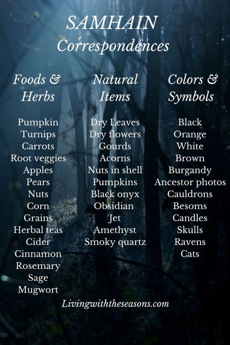 Witches New Year, Wicca Holidays, Samhain Traditions, Samhain Ritual, Wiccan Sabbats, Pagan Festivals, Samhain Halloween, The Black Cauldron, Eclectic Witch