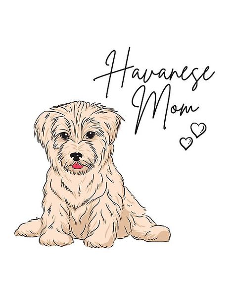 Havanese Dogs Drawings, Dog Doodles, Types Of Puppies, Art And Drawing, Havanese Dog, Birthday Presents For Mom, Dog Area, Havanese Dogs, Presents For Mom