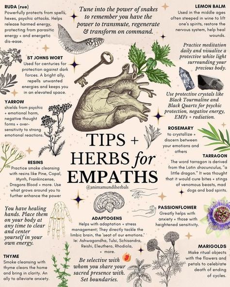 A N I M A M U N D I Apothecary on Instagram: "🔮Empaths🔮Tune into the power of snakes to remember you have the power to transmute, regenerate & transform on command. 🐍💕 If you identify as an empath or highly sensitive person, or know someone who does, this post is for you! We’ve rounded up some of our top favorite herbs to navigate energetics that are not always easy to palate, and for potent transformative So many plants 🪴 not pictured here that have profound spiritual and energetic propert Herbs Of Leo, Transmutation Herbs, Apothecary For Beginners, Herbs In Witchcraft, Herb Knowledge, Beauty Herbs, Herbs For Women, Rauch Tricks, Magickal Herbs