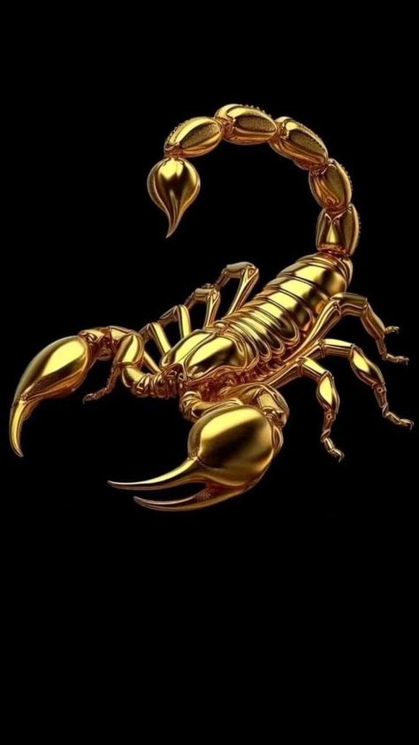 Scorpion Background, Scorpio Background, Scorpion Art, Venkateswara Swamy Images Hd 1080 Wallpaper, Deadpool Pictures, Purple Mustang, Silhouette Mode, Scorpio Art, Metal Art Jewelry