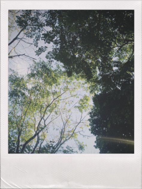 Polaroid Scenery, Polaroid Photography, Wallpaper Project, Minimal Photography, Dreamy Photography, Polaroid Pictures, Landscape Photography Nature, Spring Aesthetic, Cinematic Photography