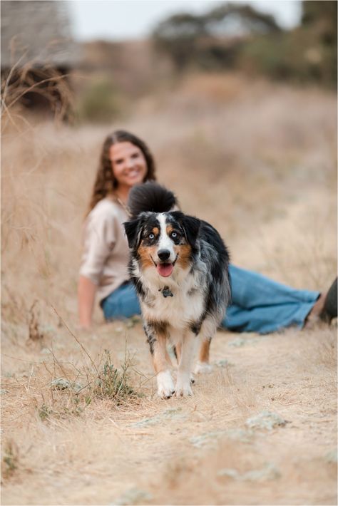 Senior Pic Ideas With Dogs, Senior Pictures Poses With Dog, Australian Shepherd Photoshoot, Vet Tech Senior Pictures, Cute Poses With Your Dog, Horse And Dog Senior Pictures, Unique Senior Picture Ideas With Dogs, Senior Pic With Dog, Senior Picture Ideas Dog