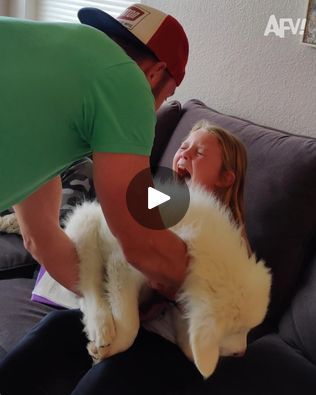 14M views · 216K reactions | New Pets | pet, fur | Who's bringing home a new fur baby? | By America's Funniest Home Videos | Facebook Cute Dogs Fluffy, America's Funniest Home Videos, Baby Pets, Funny Home Videos, Dog Faces, Baby Animal Videos, America Funny, Dogs And Kids, Dog Face