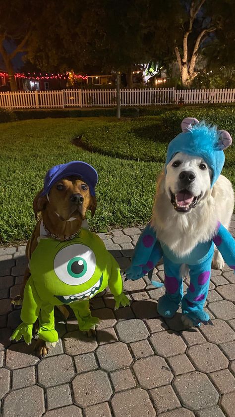 Cute Dog Halloween Costumes With Owner, Duo Halloween Costumes With Dog, Dog Monsters Inc Costume, Pets Halloween Costumes, Dog Costumes Ideas, Dog Costumes For Two Dogs, Dog Duo Costumes, Cute Halloween Costumes For Dogs, Duo Dog Halloween Costumes