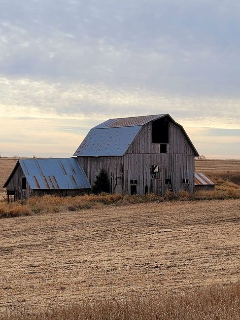 Iowa Iowa Aesthetic, Iowa Landscape, Midwest Gothic, Decorah Iowa, Iowa Farms, Children Of The Corn, Usa States, Film Inspiration, Nerd Stuff